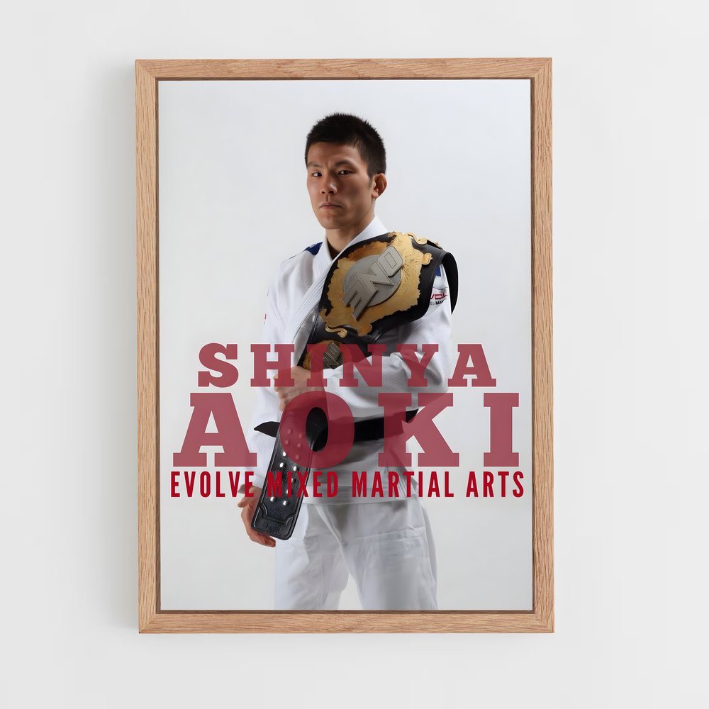 Poster Aoki Evolution – affiche MMA (vue 4)